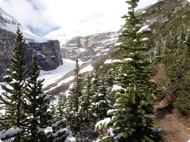plain of six glaciers hike snow