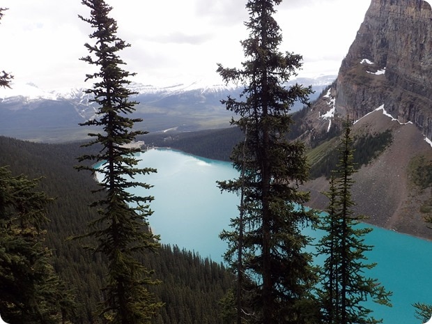 lake louise beehive trail