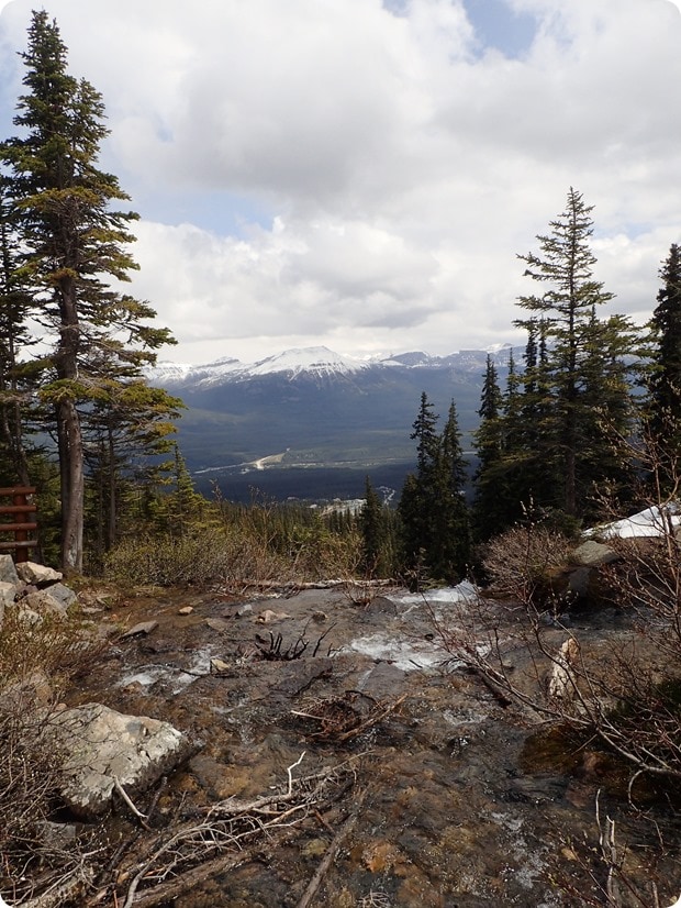 lake louise hike