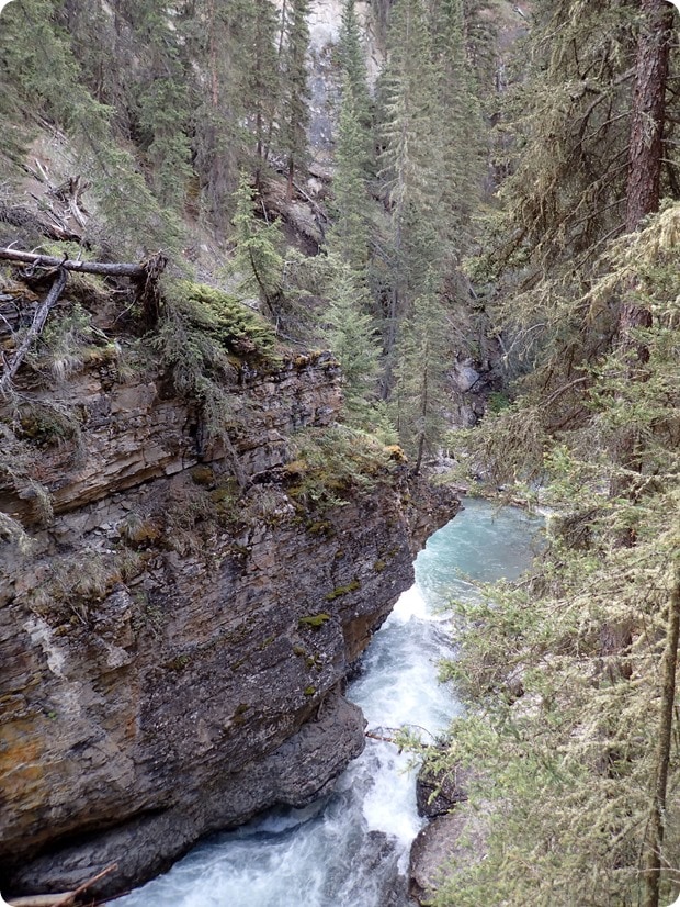 hiking johnson canyon banff