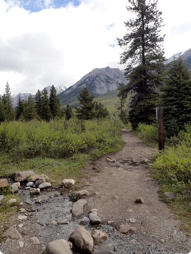 ink pots hike banff