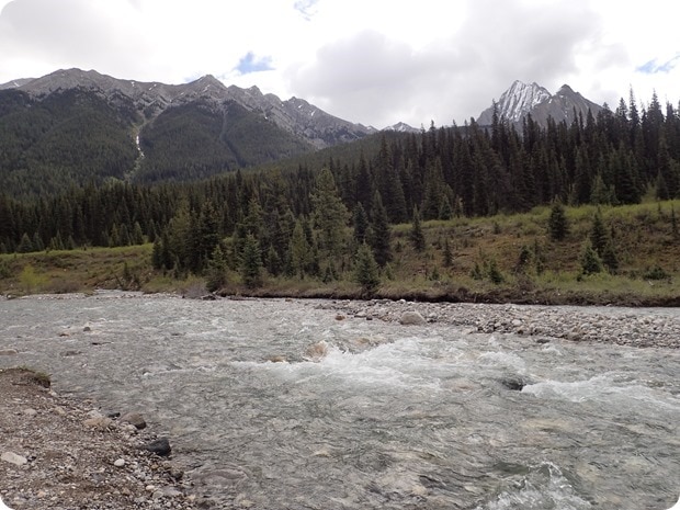 johnson canyon creek