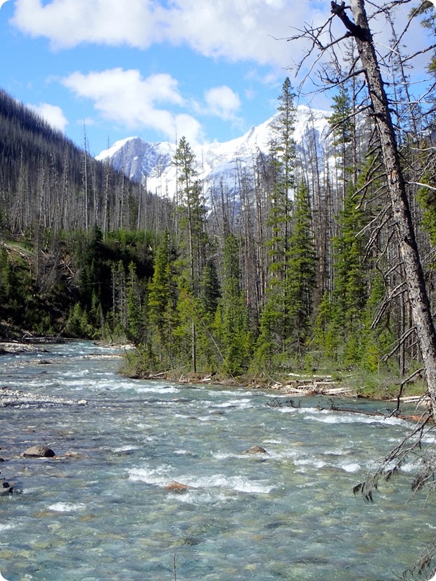 marble canyon kootenay hike