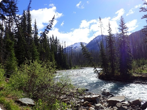 marble canyon hike canada