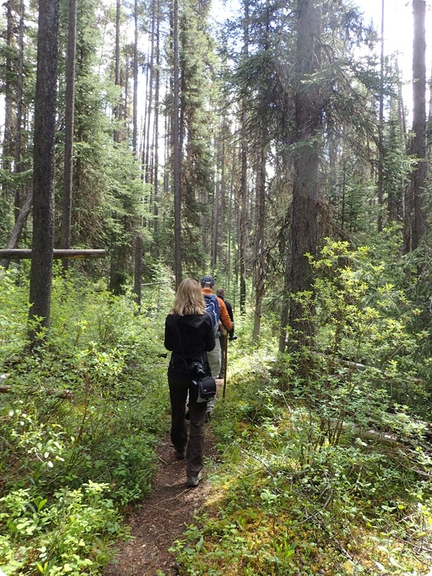 paint pots hike kootenay