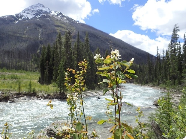 marble canyon hike kootenay