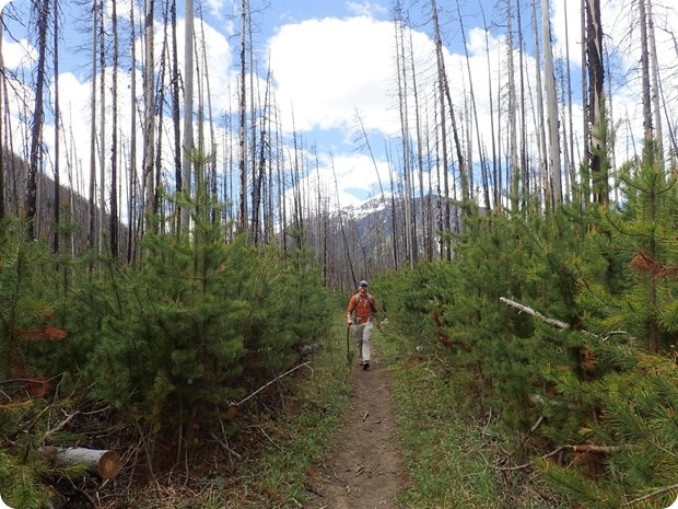 marble canyon hike canada