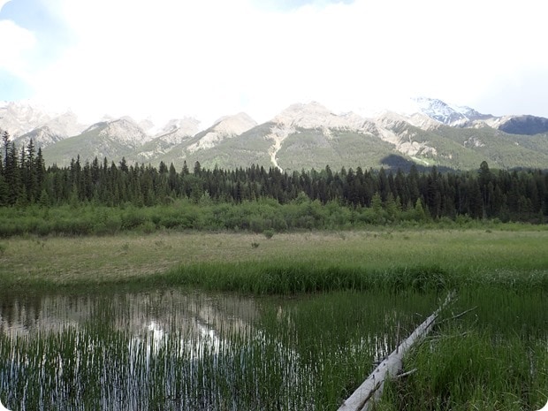 dog lake kootenay