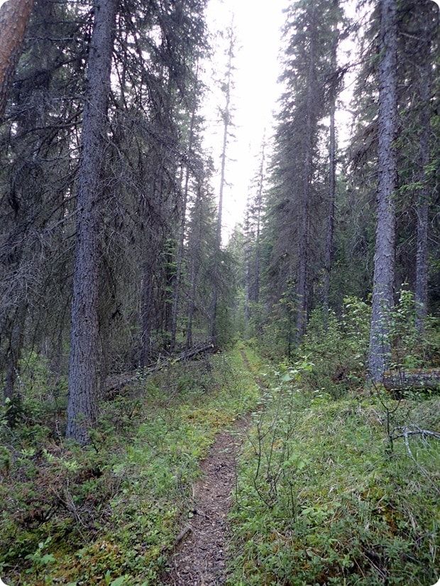 dog lake hike kootenay