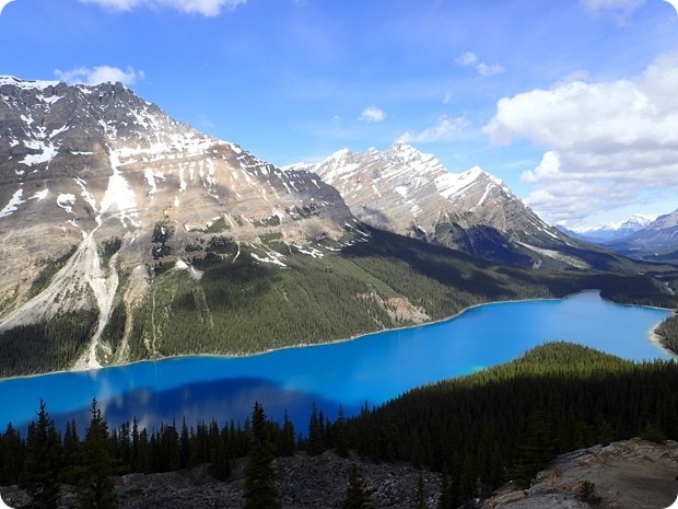 peyto lake