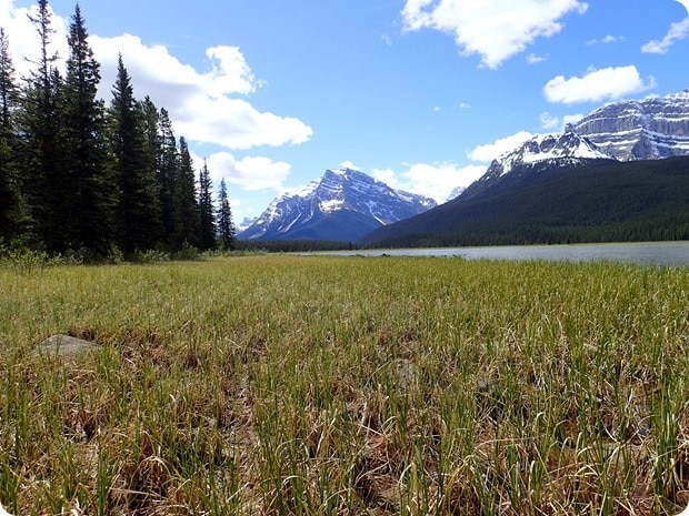 icefields parkway lunch