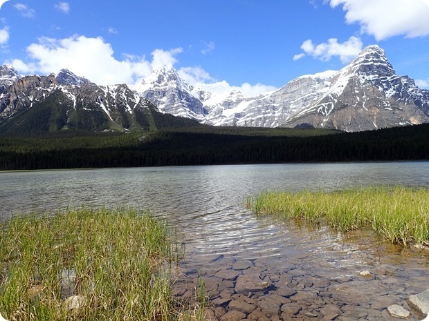 icefields parkway lunch spot