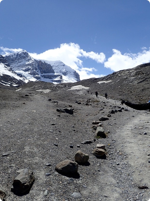 hiking athabasca glacier