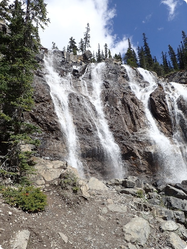 tangle creek icefields parkway