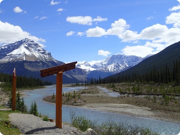 icefields parkway driving views