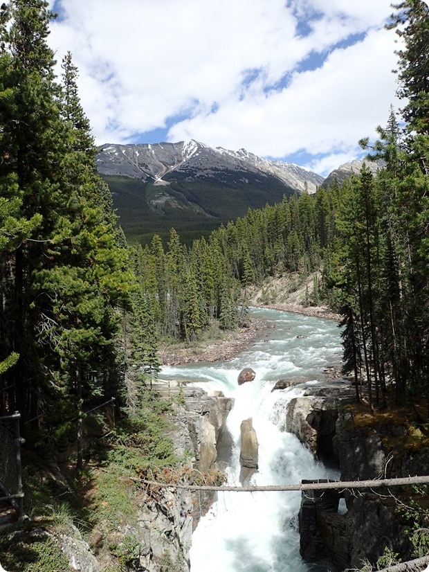 sunwapta falls