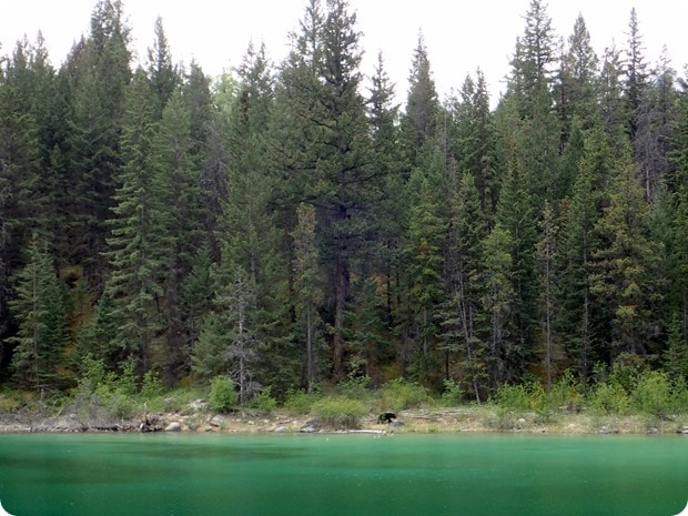 valley of the five lakes hike bears