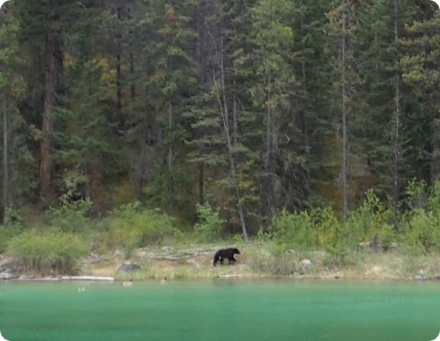 bear valley of the five lakes