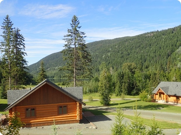 alpine meadows resort