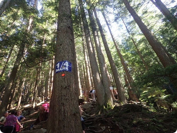grouse grind 1/4 mark