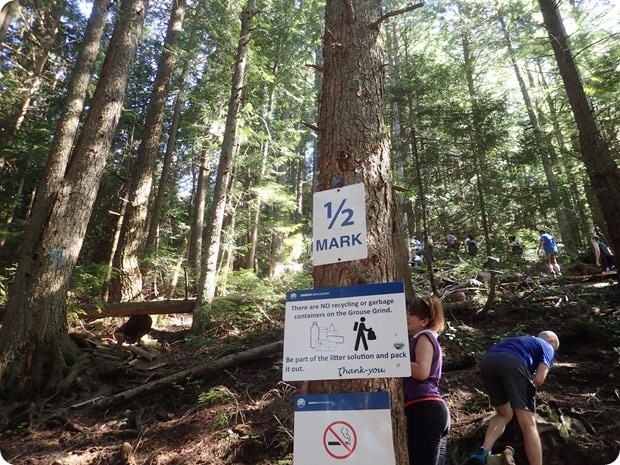 grouse grind 1/2 mark