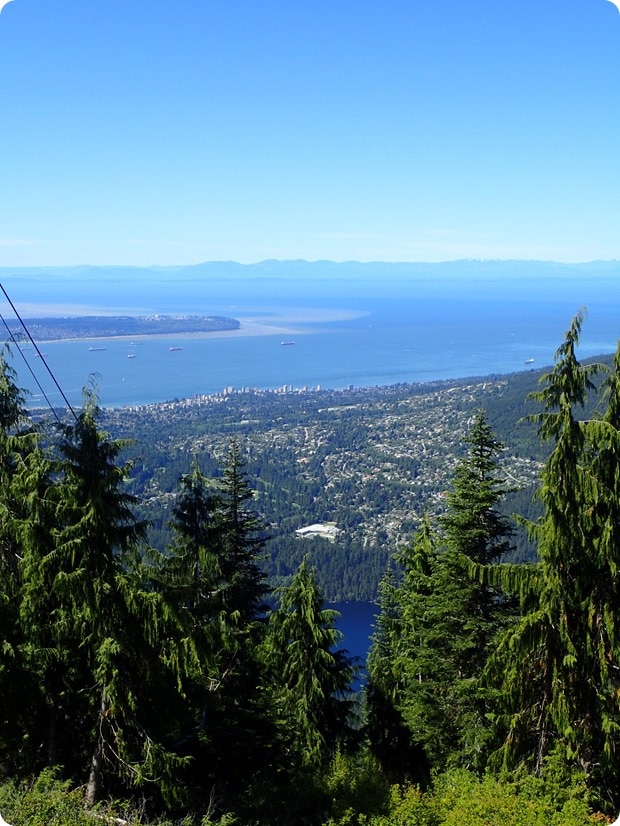 grouse mountain summit views