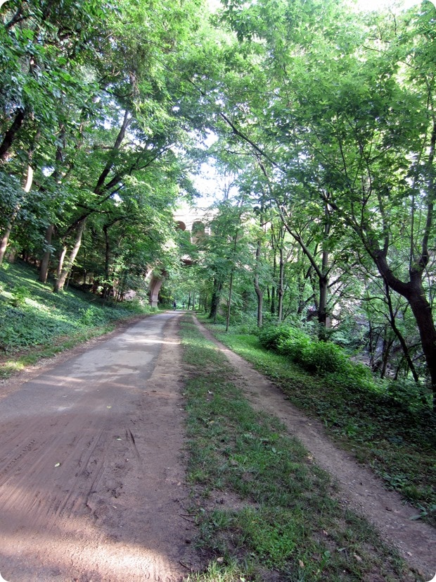 rock creek park run