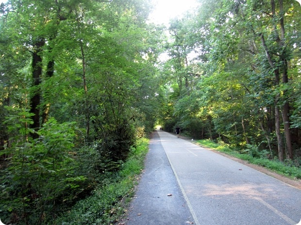 capital crescent trail shade