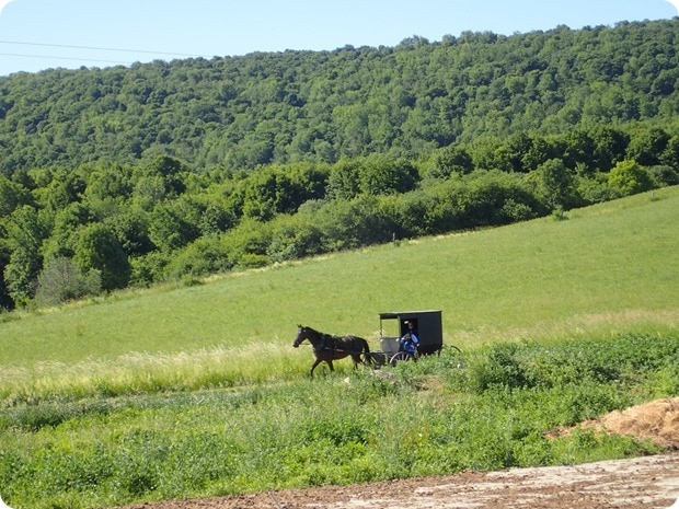 new york amish farm