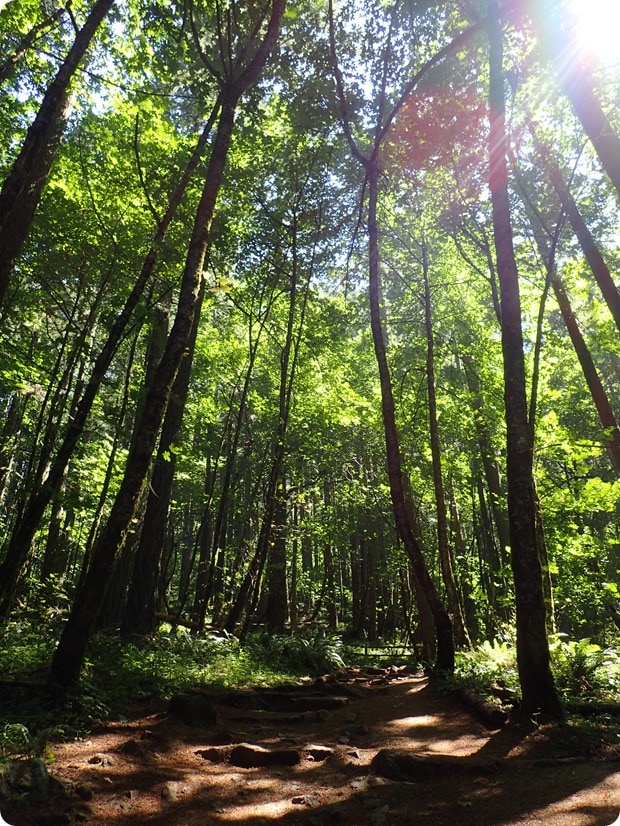 spencer butte hike