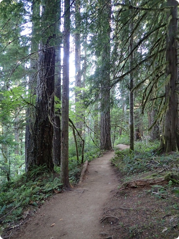 tamolitch blue pool trail