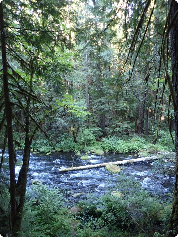tamolitch blue pool trail
