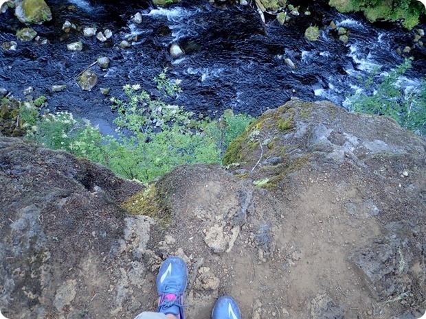 mckenzie river trail hiking
