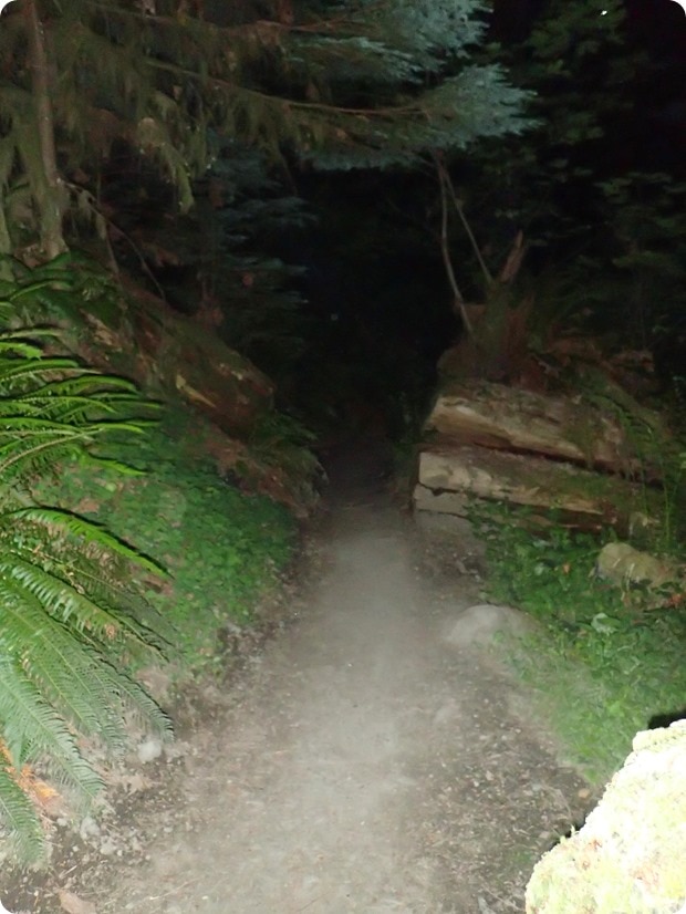terwilliger hot springs trail