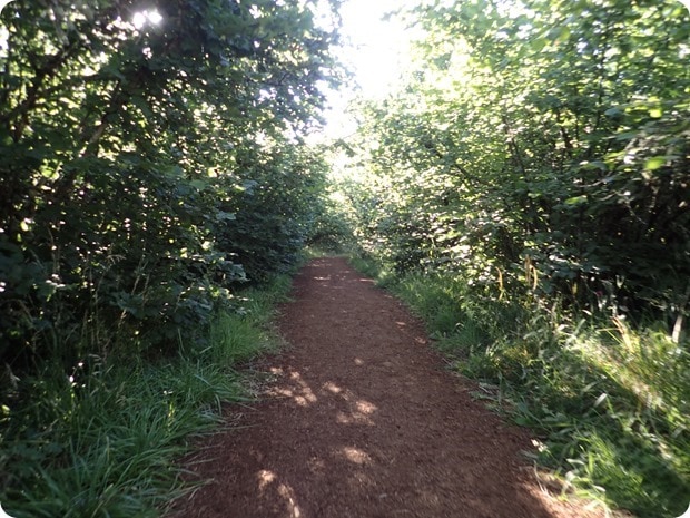 pre's trail eugene