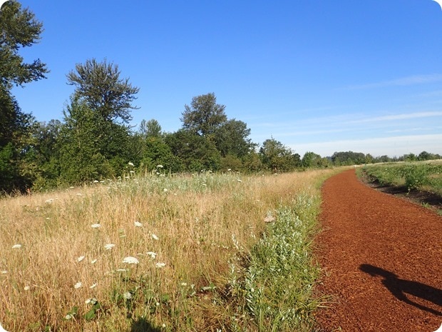 pres trail eugene