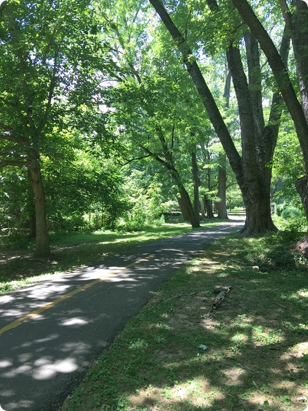 arlington va trail running