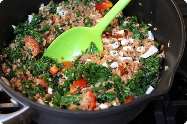 farro veggie salad
