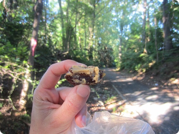 real food running fuel