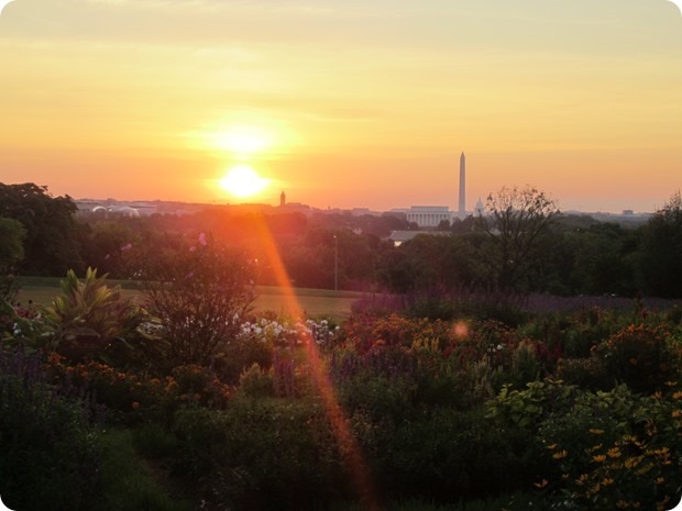 washington dc sunrise monuments