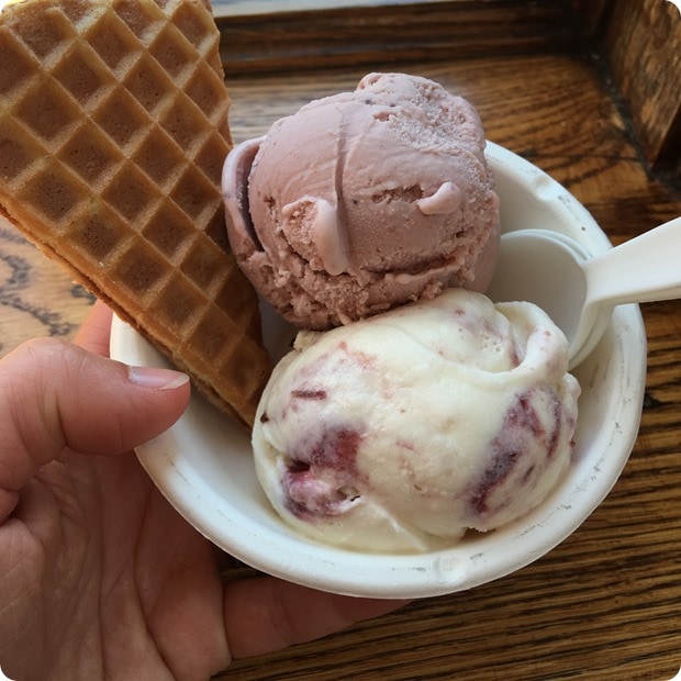 jenis ice cream columbus