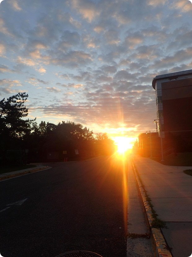 washington lee high school track sunrise