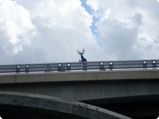 deer on a bridge statue columbus