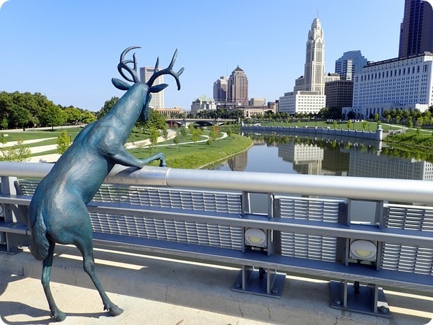 deer on a bridge columbus