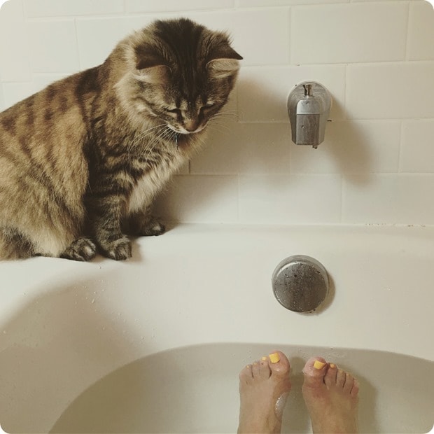 marathon training ice bath with cat