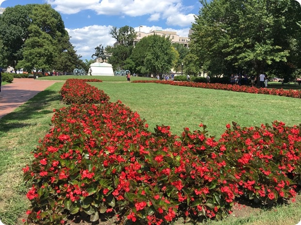 summer weather white house park