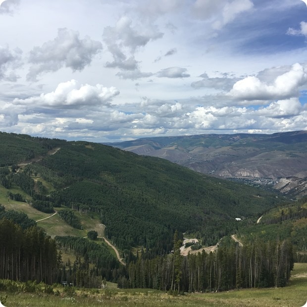 royal elk trail view