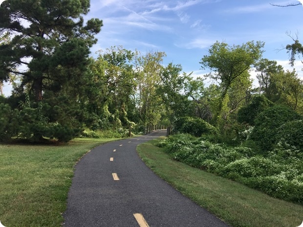 mount vernon trail alexandria long run