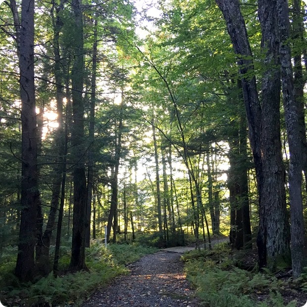 smugglers notch vermont trails