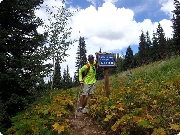 royal elk trail